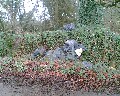 Image067.jpg